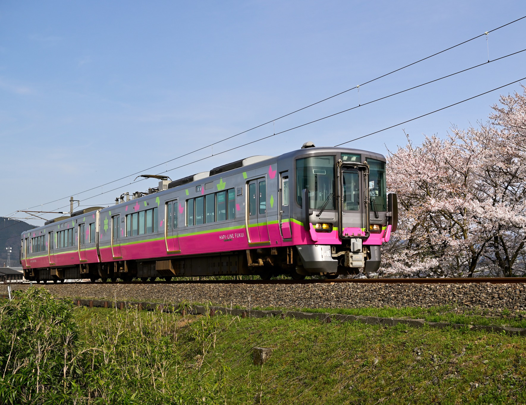 株式会社ハピラインふくい