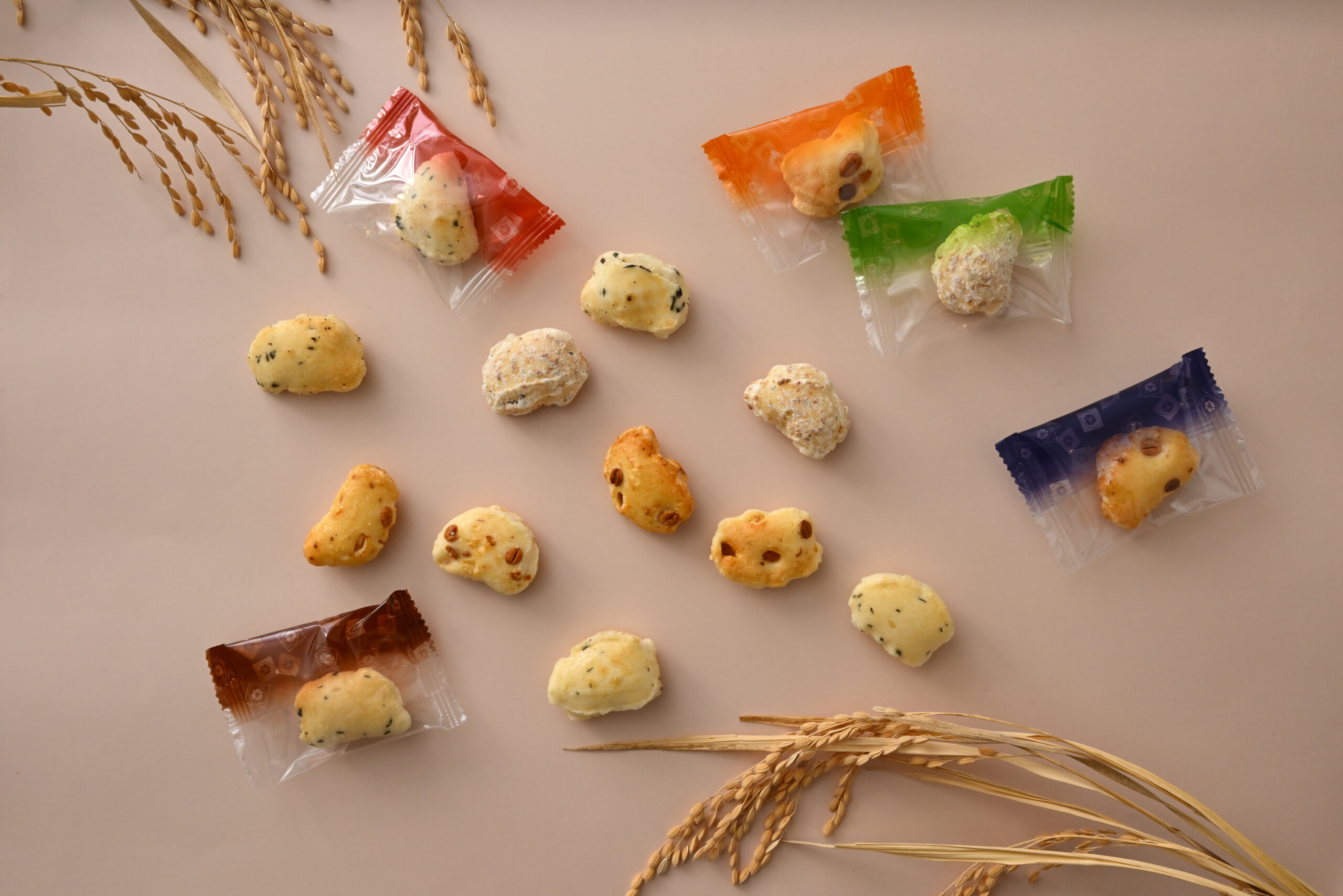 杉本清味堂様（大野市）