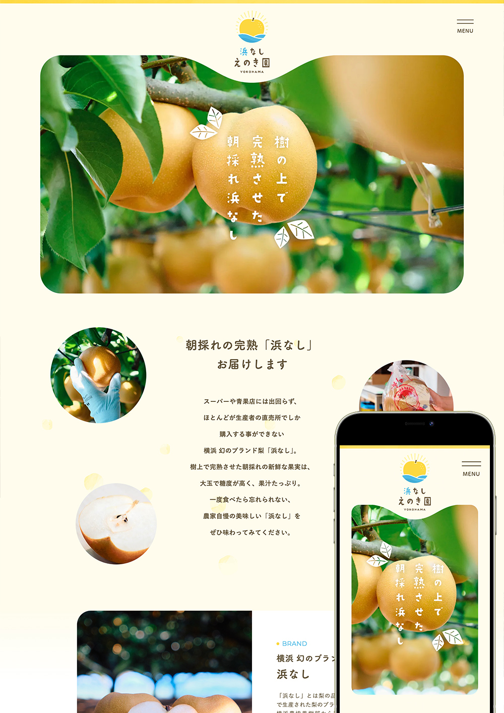 横浜市のブランド梨 浜なし えのき園 ロゴデザイン・ホームページ制作